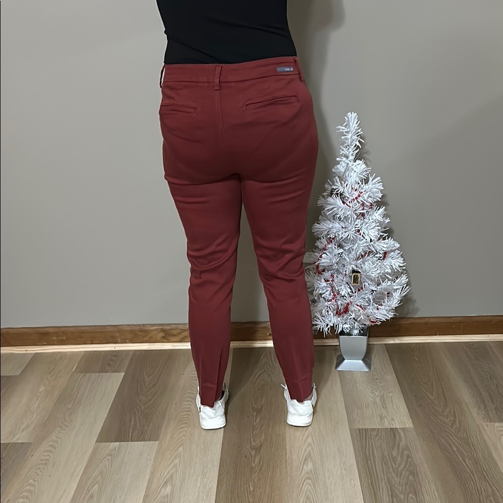 Level 99 - Red Pants - Picture 5 of 5